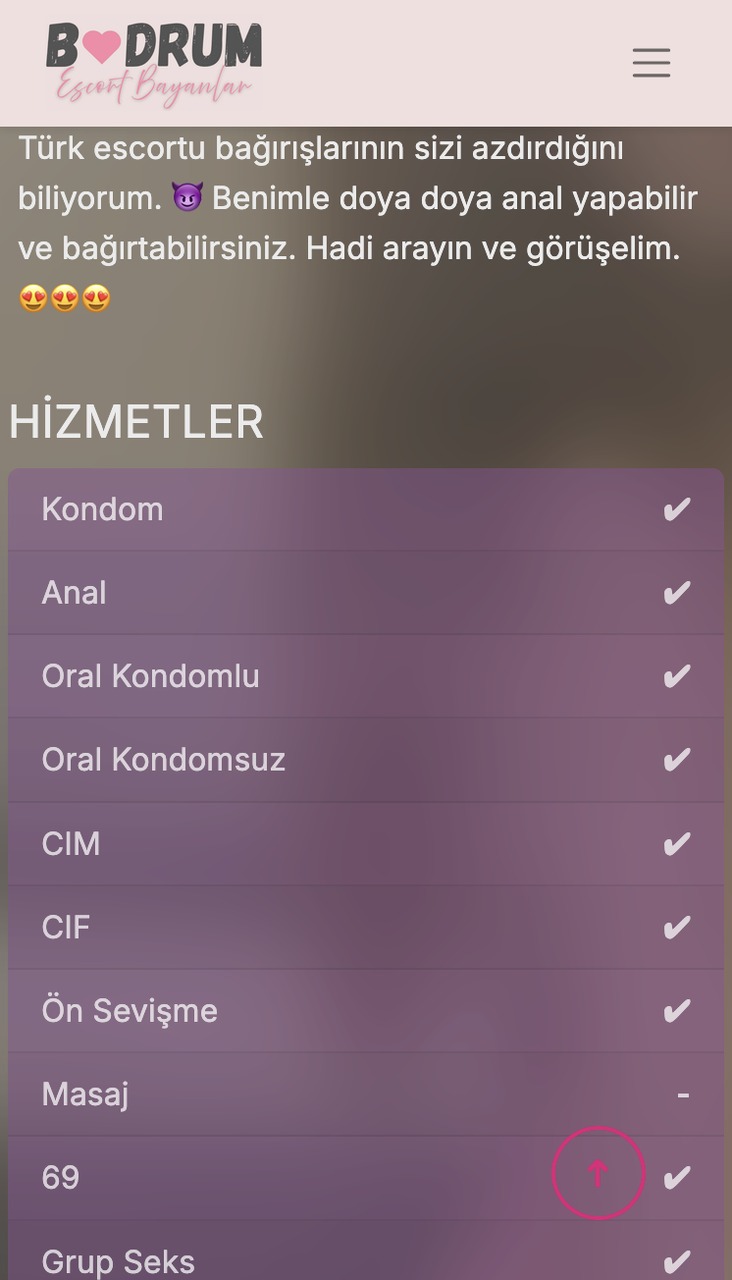 Escort üyesi hizmetlerinin örneği 1